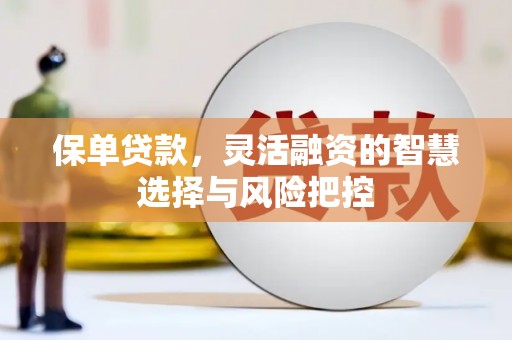 雨花保单贷款，灵活融资的智慧选择与风险把控