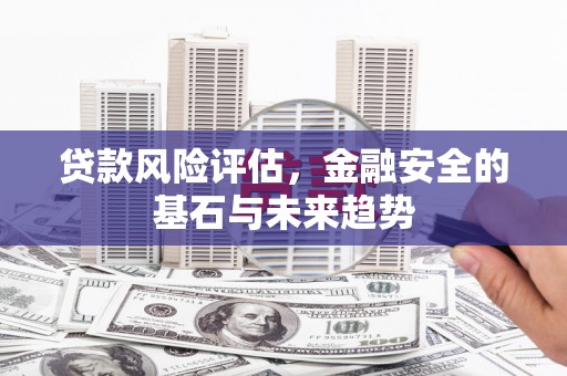 雨花贷款风险评估，金融安全的基石与未来趋势