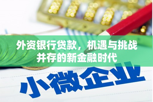 雨花外资银行贷款，机遇与挑战并存的新金融时代