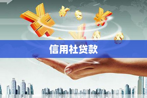 雨花信用社贷款