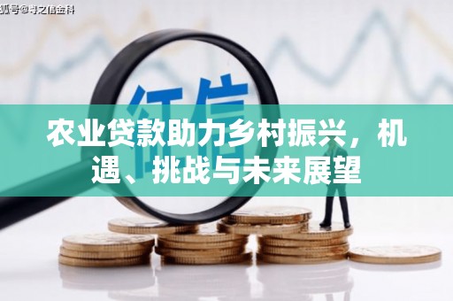 雨花农业贷款助力乡村振兴，机遇、挑战与未来展望