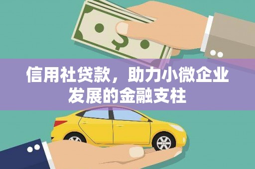 雨花信用社贷款，助力小微企业发展的金融支柱