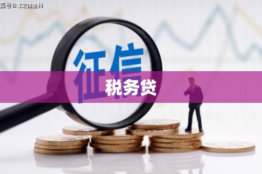 雨花税务贷