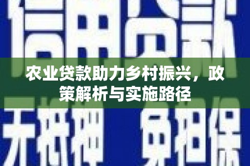 雨花农业贷款助力乡村振兴，政策解析与实施路径