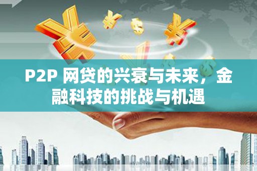 雨花P2P 网贷的兴衰与未来，金融科技的挑战与机遇
