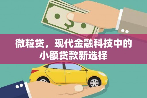 雨花微粒贷，现代金融科技中的小额贷款新选择