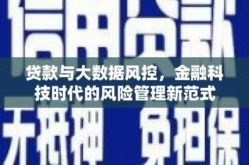 雨花贷款与大数据风控，金融科技时代的风险管理新范式