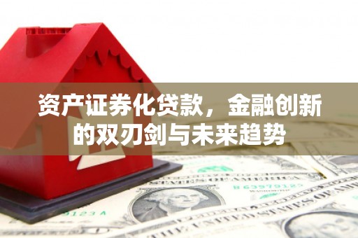 雨花资产证券化贷款，金融创新的双刃剑与未来趋势