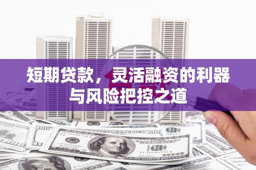 雨花短期贷款，灵活融资的利器与风险把控之道