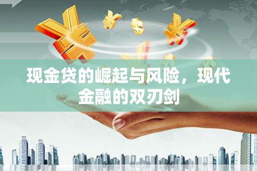 雨花现金贷的崛起与风险，现代金融的双刃剑