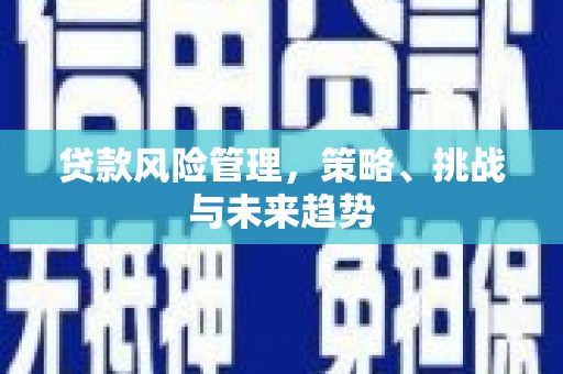 雨花贷款风险管理，策略、挑战与未来趋势