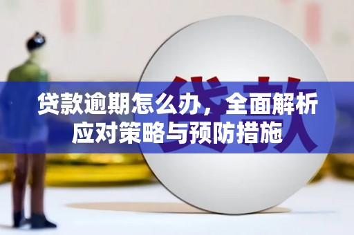 雨花贷款逾期怎么办，全面解析应对策略与预防措施