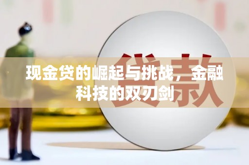 雨花现金贷的崛起与挑战，金融科技的双刃剑