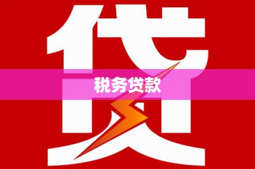 雨花税务贷款