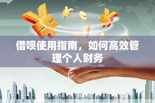 雨花借呗使用指南，如何高效管理个人财务