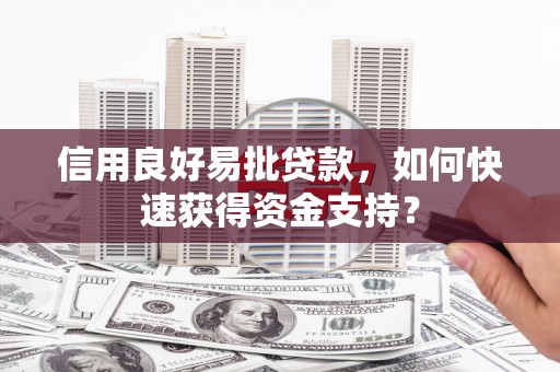 雨花信用良好易批贷款，如何快速获得资金支持？