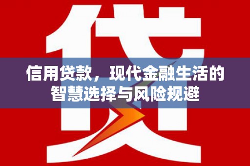 雨花信用贷款，现代金融生活的智慧选择与风险规避