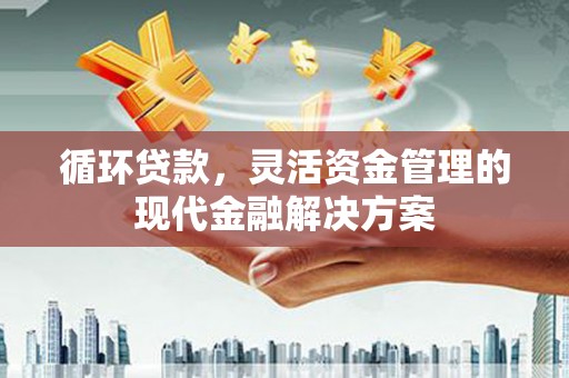 雨花循环贷款，灵活资金管理的现代金融解决方案