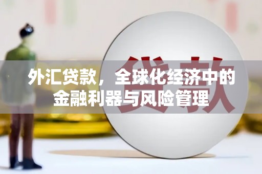 雨花外汇贷款，全球化经济中的金融利器与风险管理