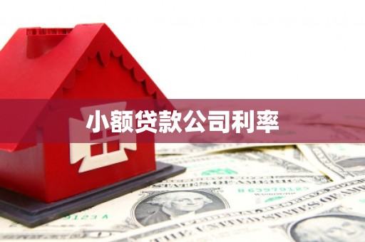 雨花小额贷款公司利率