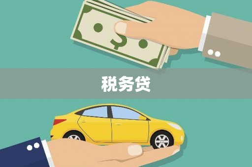 雨花税务贷
