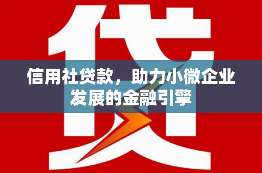 雨花信用社贷款，助力小微企业发展的金融引擎
