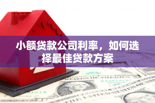 雨花小额贷款公司利率，如何选择最佳贷款方案