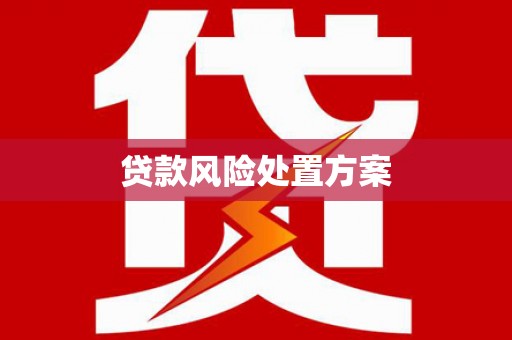 雨花贷款风险处置方案