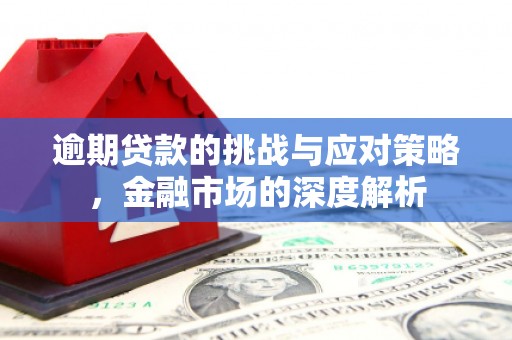 雨花逾期贷款的挑战与应对策略，金融市场的深度解析