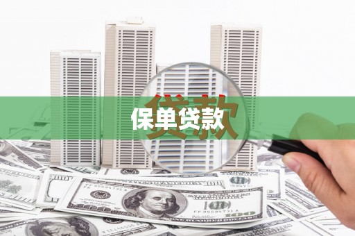雨花保单贷款