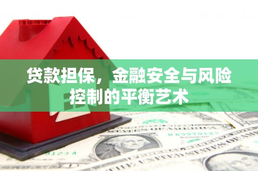 雨花贷款担保，金融安全与风险控制的平衡艺术