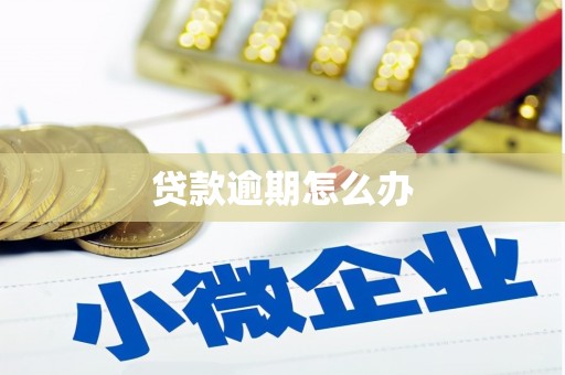 雨花贷款逾期怎么办
