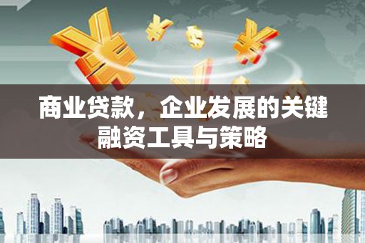 雨花商业贷款，企业发展的关键融资工具与策略