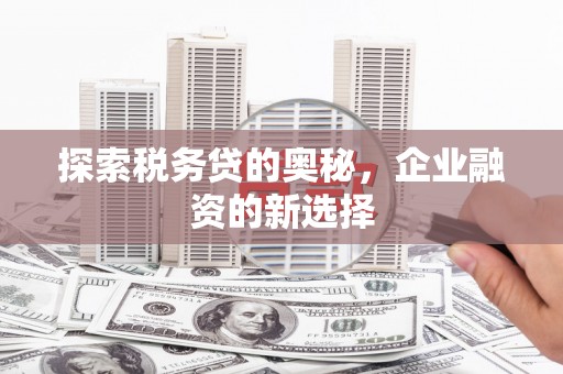 雨花探索税务贷的奥秘，企业融资的新选择