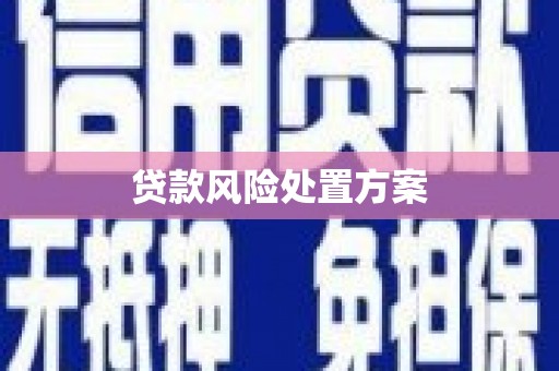 雨花贷款风险处置方案