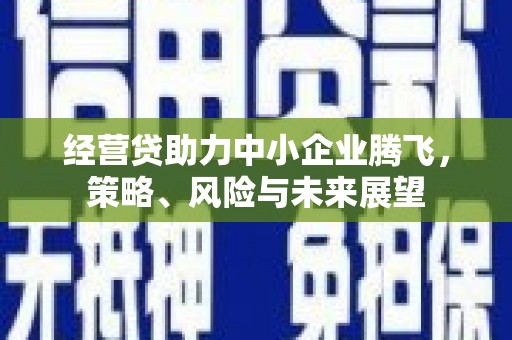 雨花经营贷助力中小企业腾飞，策略、风险与未来展望