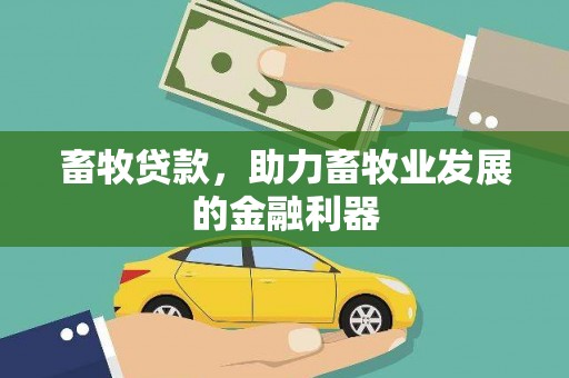 雨花畜牧贷款，助力畜牧业发展的金融利器