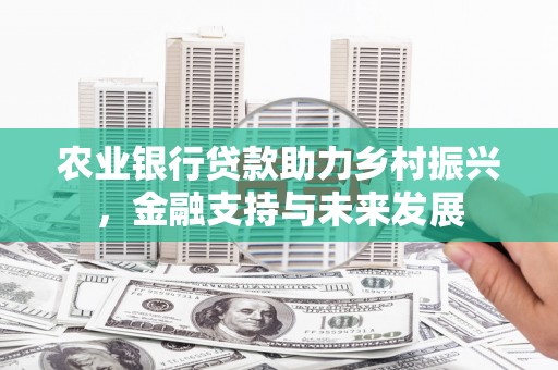 雨花农业银行贷款助力乡村振兴，金融支持与未来发展