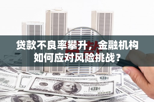 雨花贷款不良率攀升，金融机构如何应对风险挑战？