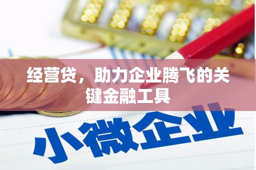 雨花经营贷，助力企业腾飞的关键金融工具