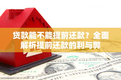 雨花贷款能不能提前还款？全面解析提前还款的利与弊