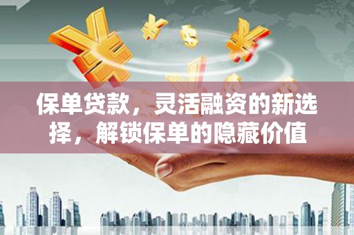雨花保单贷款，灵活融资的新选择，解锁保单的隐藏价值
