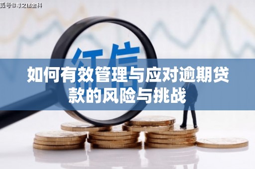 雨花如何有效管理与应对逾期贷款的风险与挑战