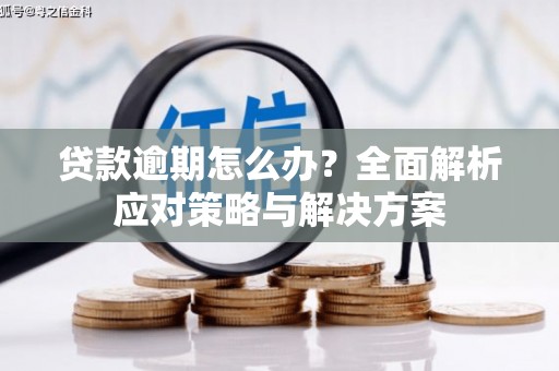 雨花贷款逾期怎么办？全面解析应对策略与解决方案
