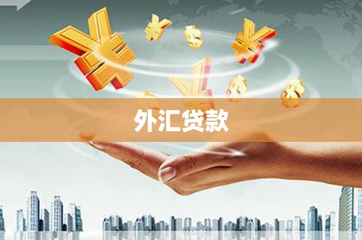 雨花外汇贷款