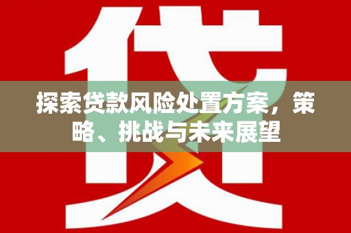 雨花探索贷款风险处置方案，策略、挑战与未来展望