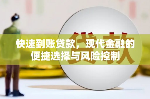 雨花快速到账贷款，现代金融的便捷选择与风险控制