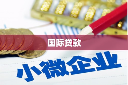 雨花国际贷款