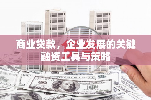 雨花商业贷款，企业发展的关键融资工具与策略