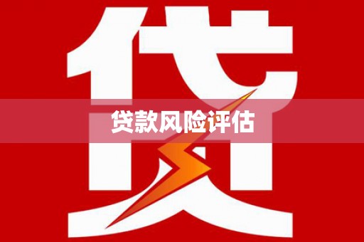 雨花贷款风险评估